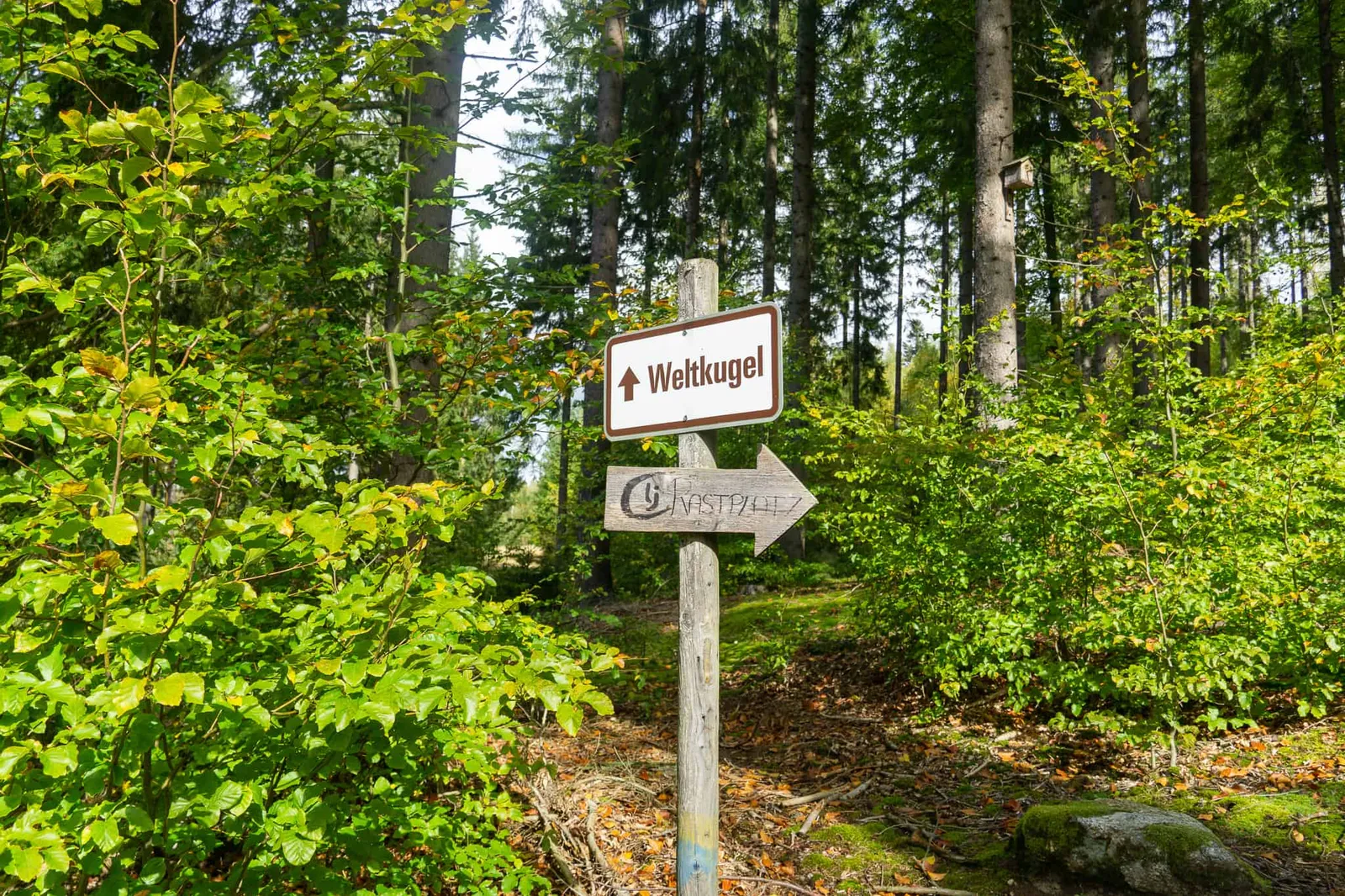 Weltkugel Hundereise