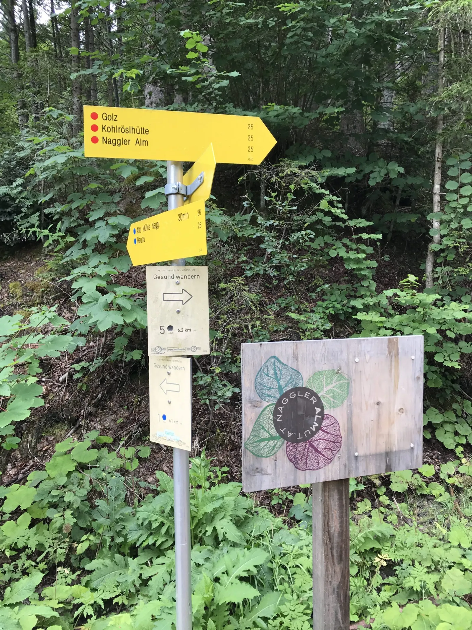 Urlaub mit Hund am Weissensee, Kärnten