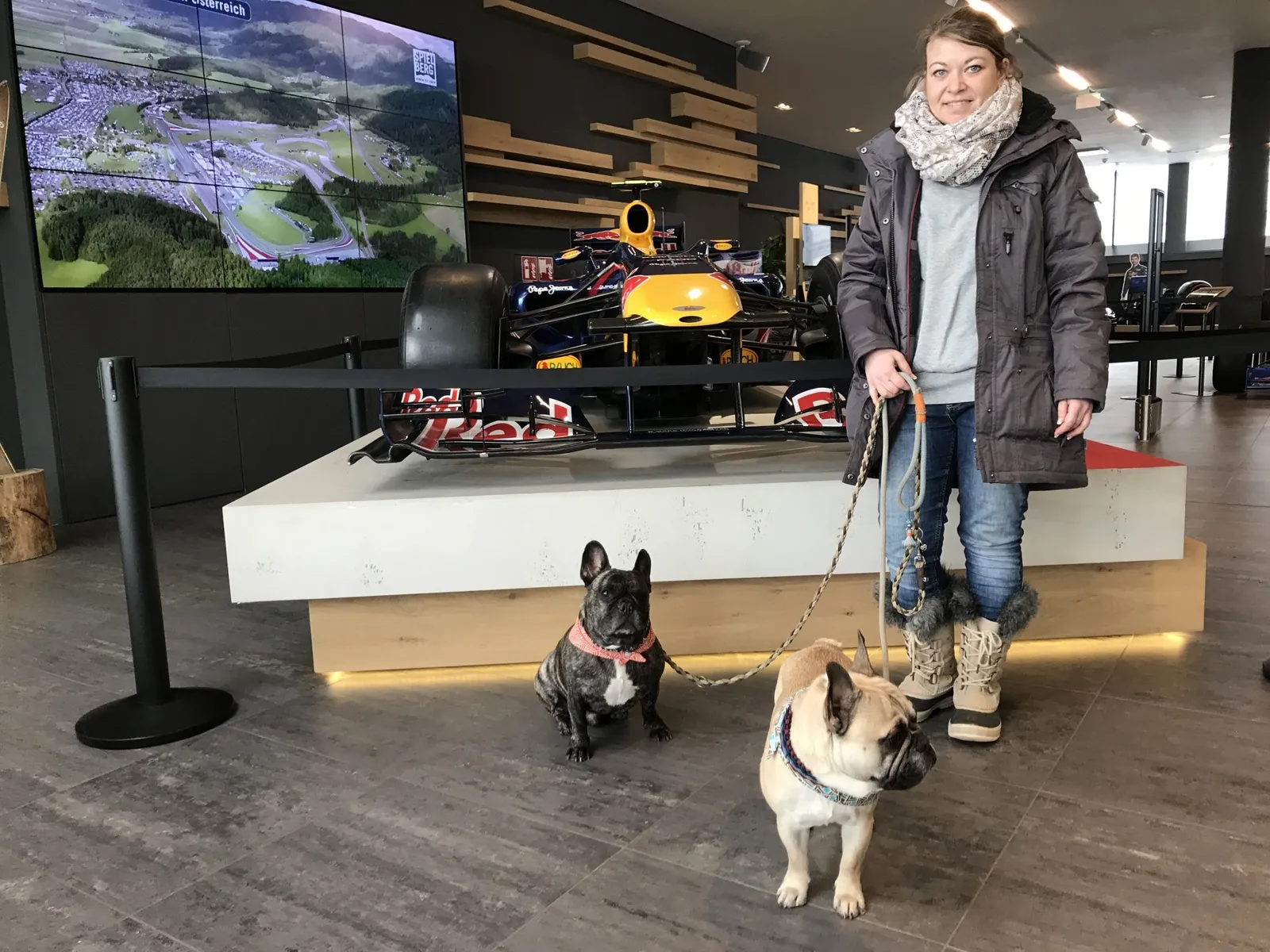Hundeurlaub Steiermark
