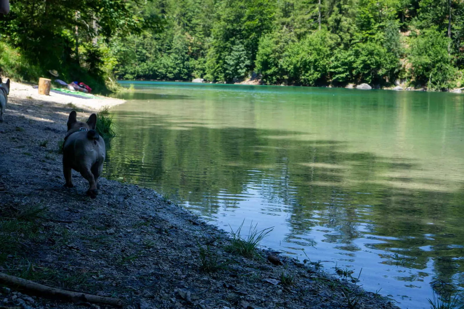 Kleiner Ödsee Hundereise