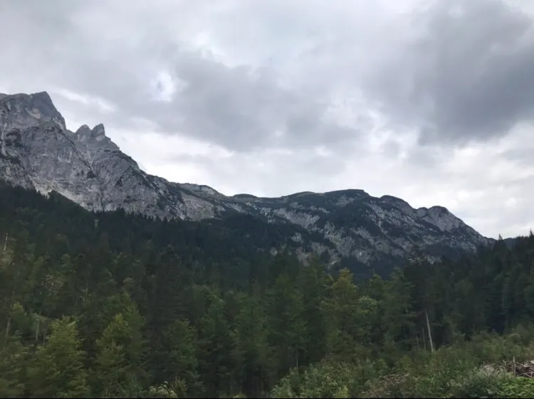 Urlaub mit Hund - Rußbach, Gosau, Traunsee - Salzburg & Oberösterreich