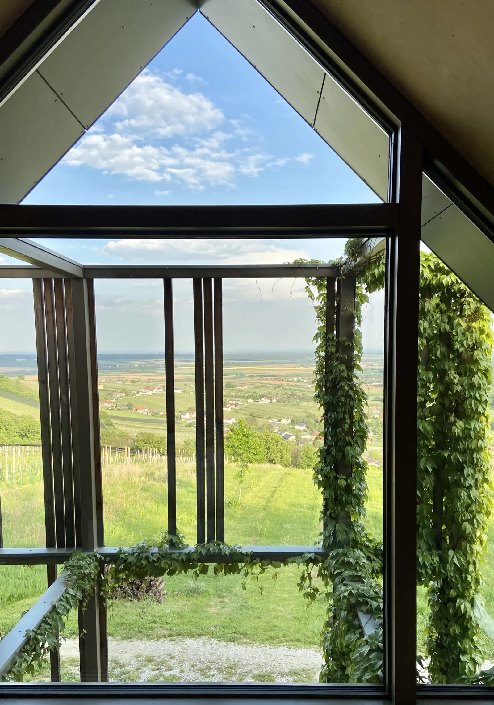 Ausblick von der Badewann im Weinloft