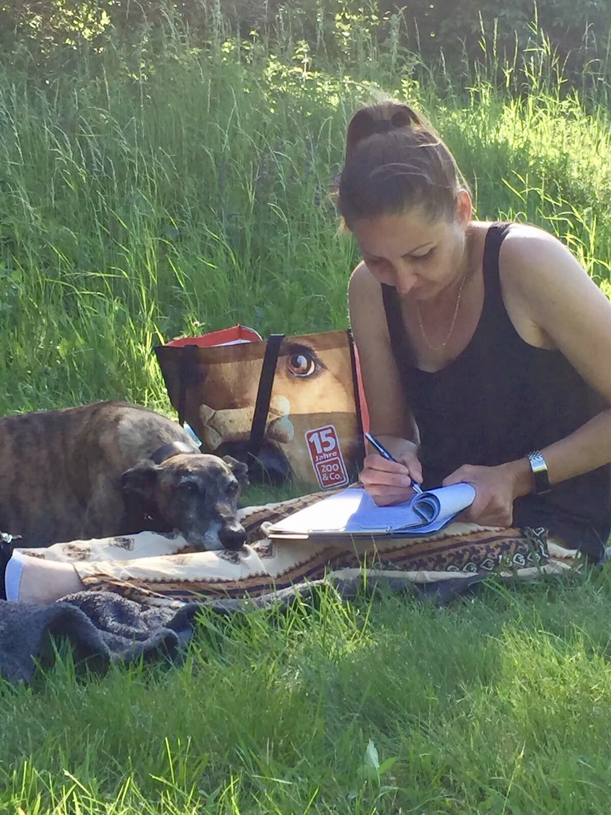 Intensiv Seminar Mensch-Hund-Beziehung