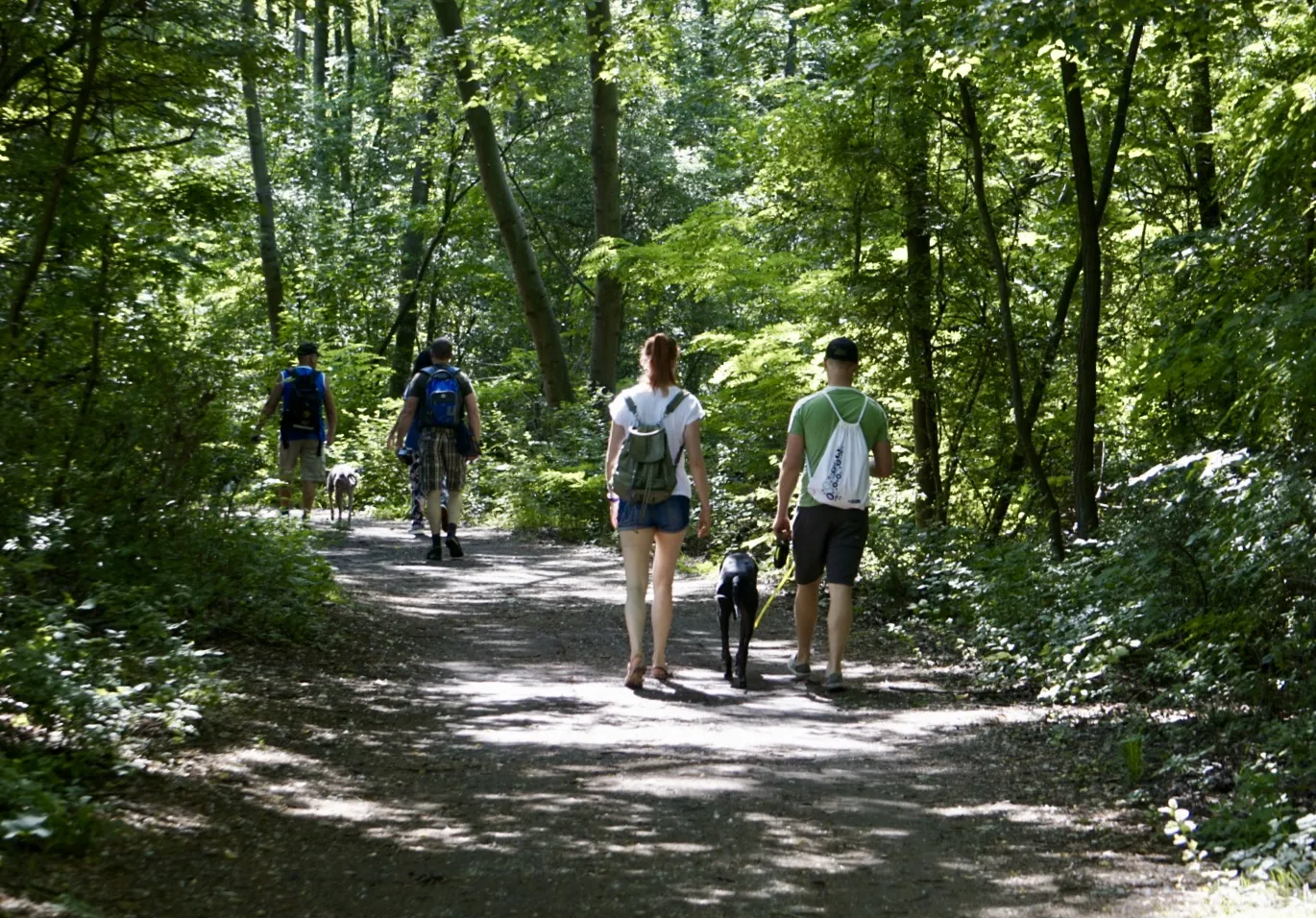 Lobau