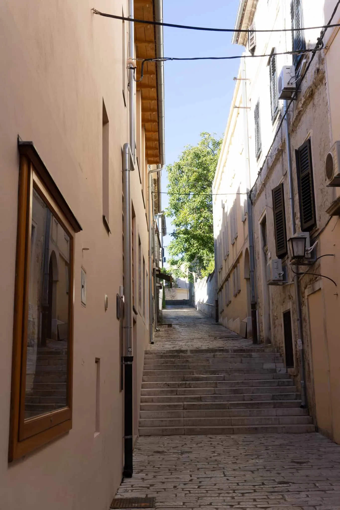 Urlaub Hund Pula Sightseeing Kroatien