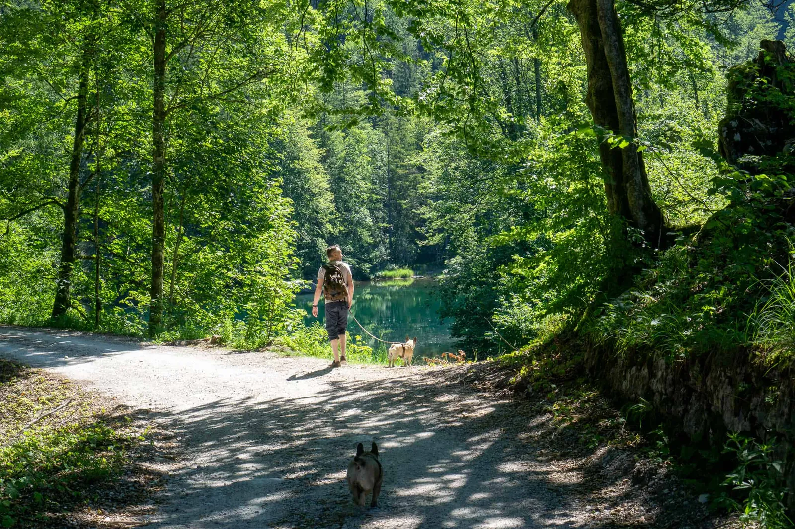 Großer Ödsee Almtal Hundereise