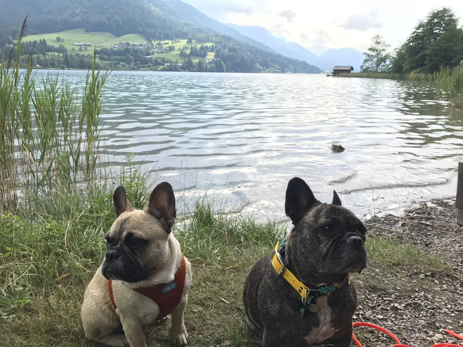 Weissensee