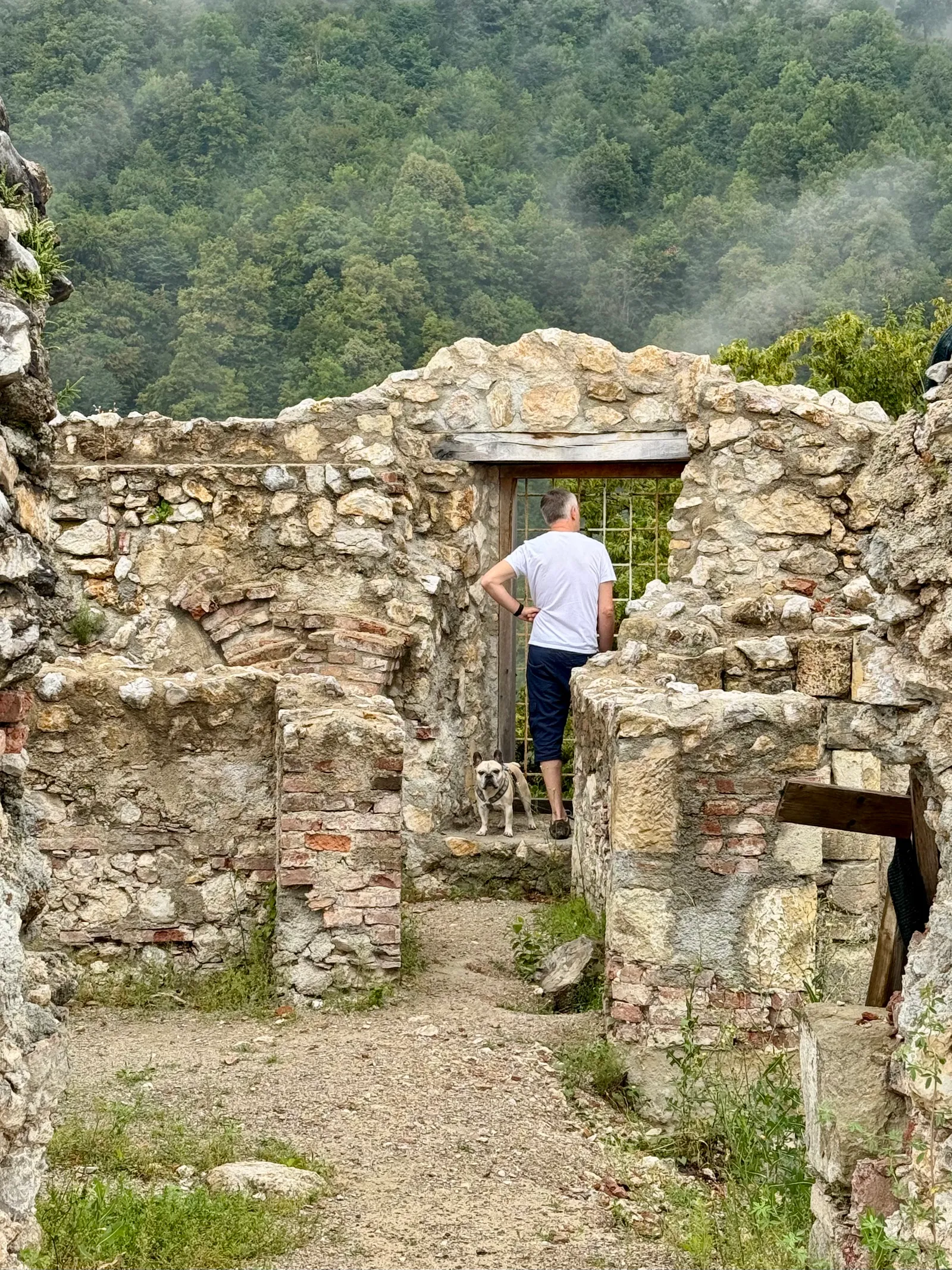 Murphy und ein Mann stehen in einem steinernen Tordurchgang der Burgruine Grad Žovnek, nebliger Wald dahinter.
