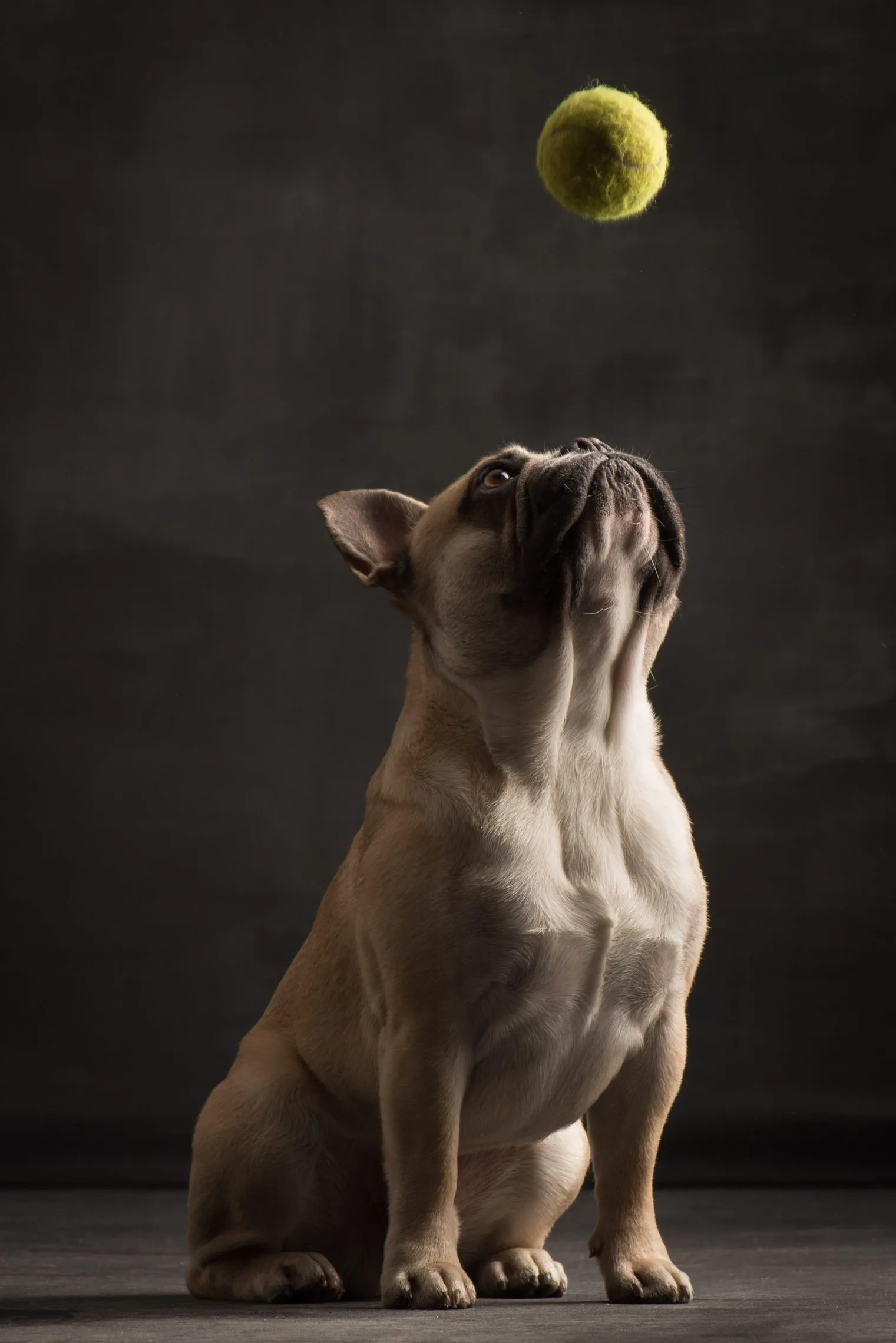 Paul Croes Shooting