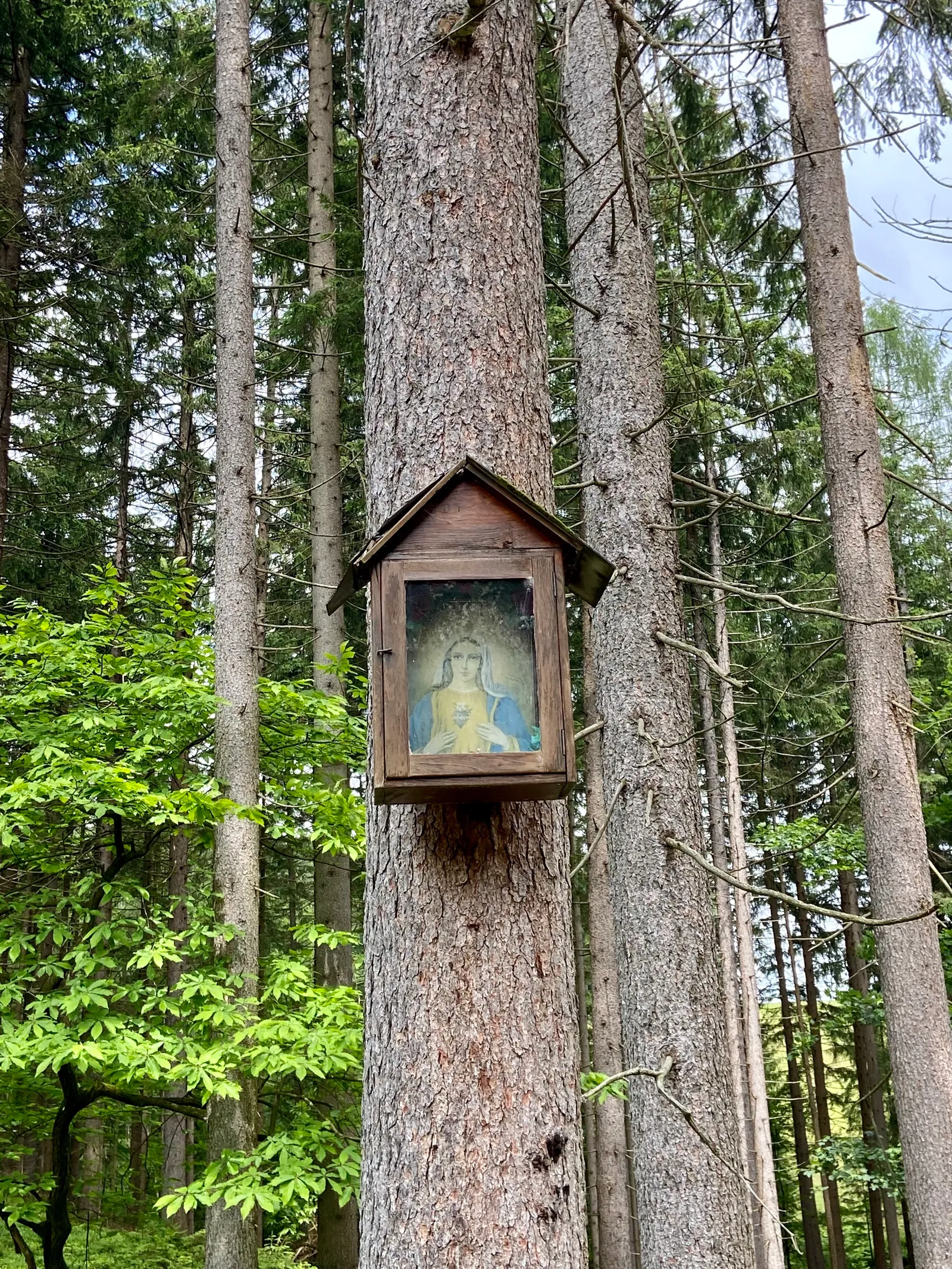 Katholischer Schaukasten im Wald