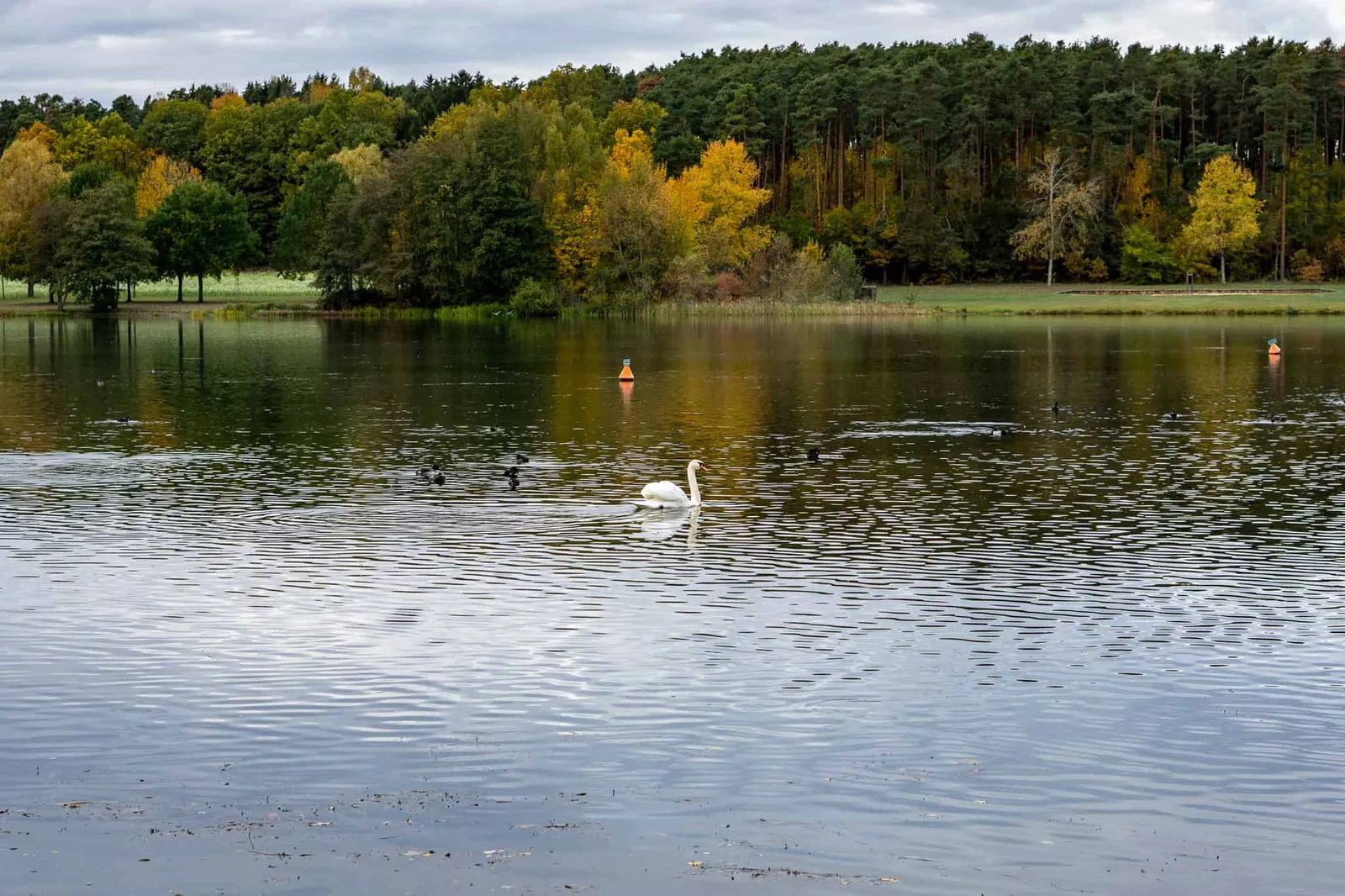 Hundereise Urlaub Rothsee Deutschland