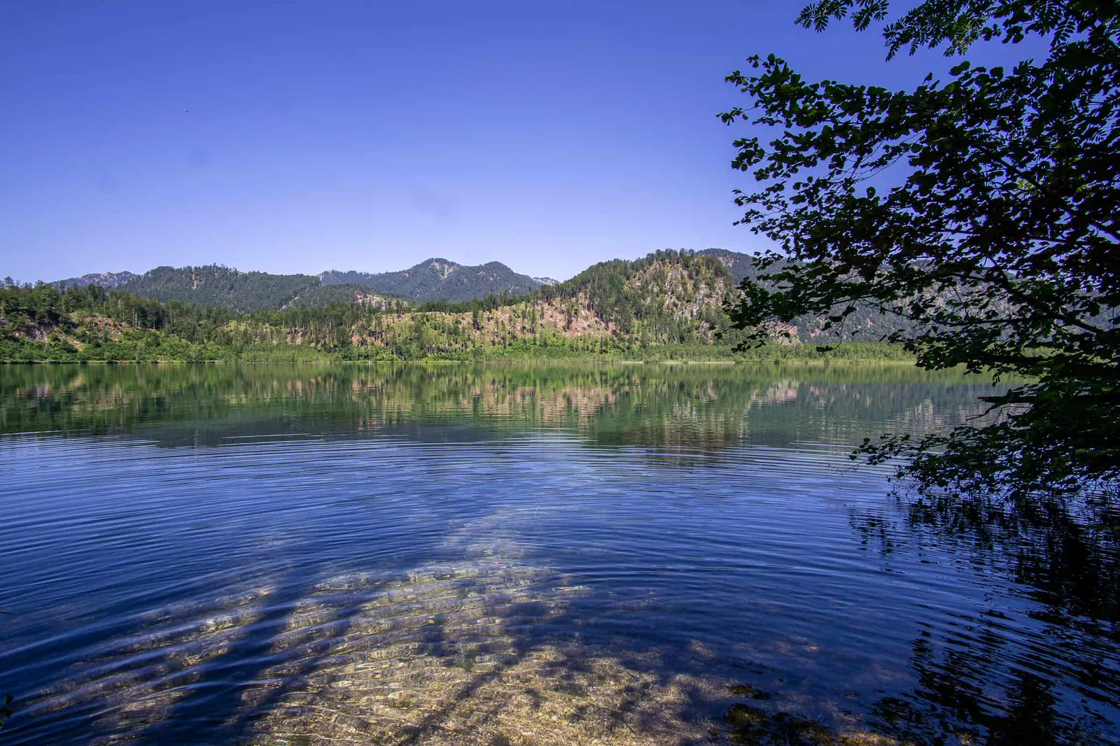 Almsee Grünau Hundereise