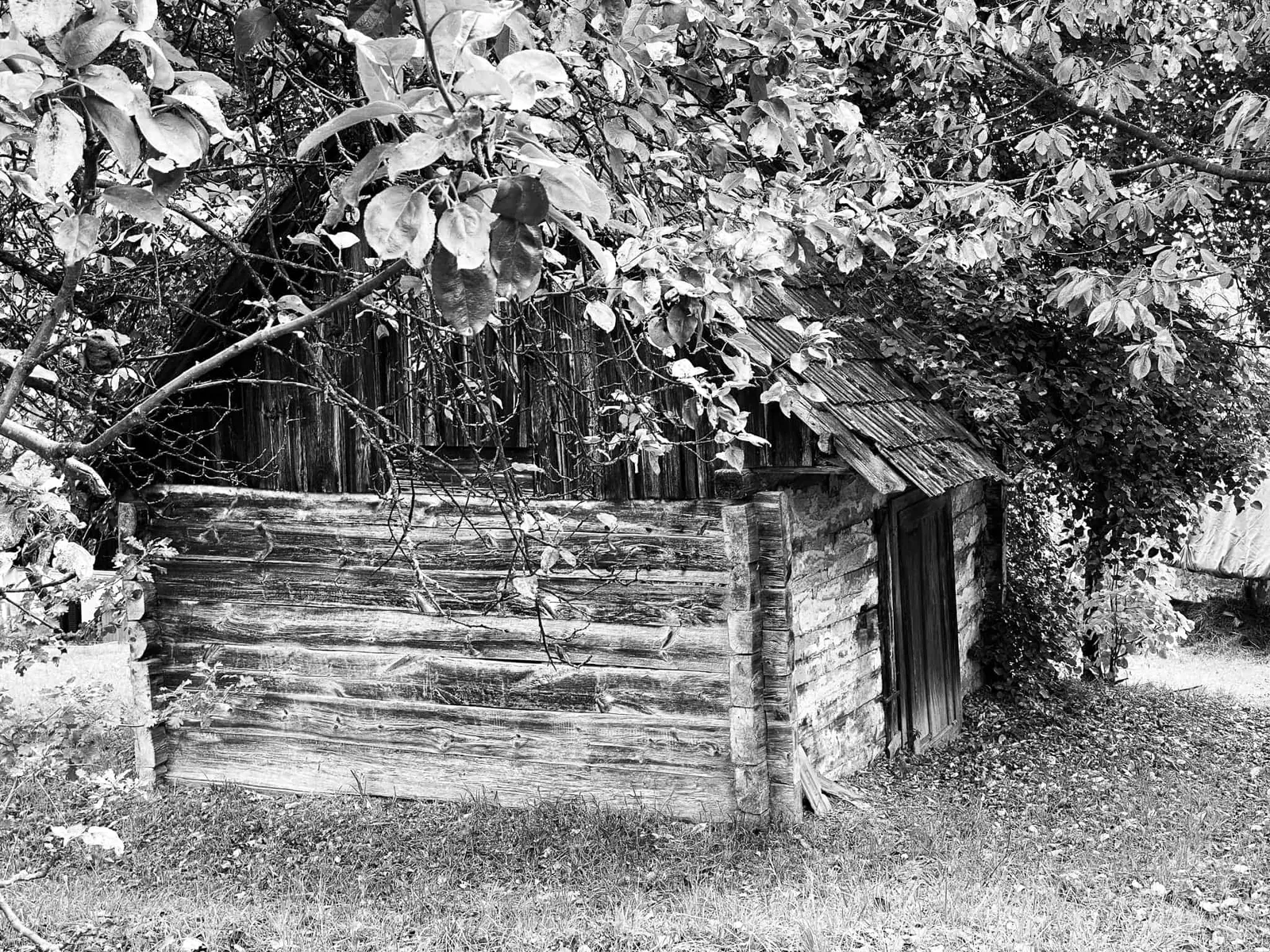 kleines Holzhaus