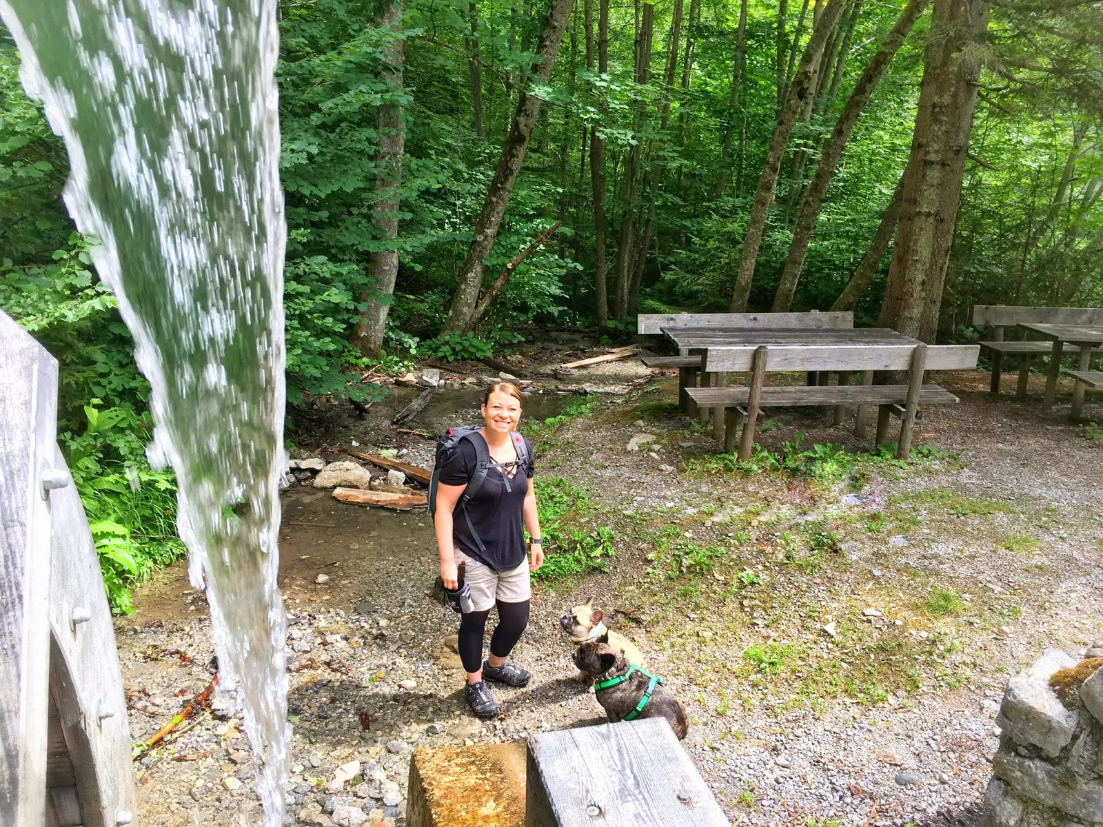 Urlaub mit Hund am Weissensee, Kärnten