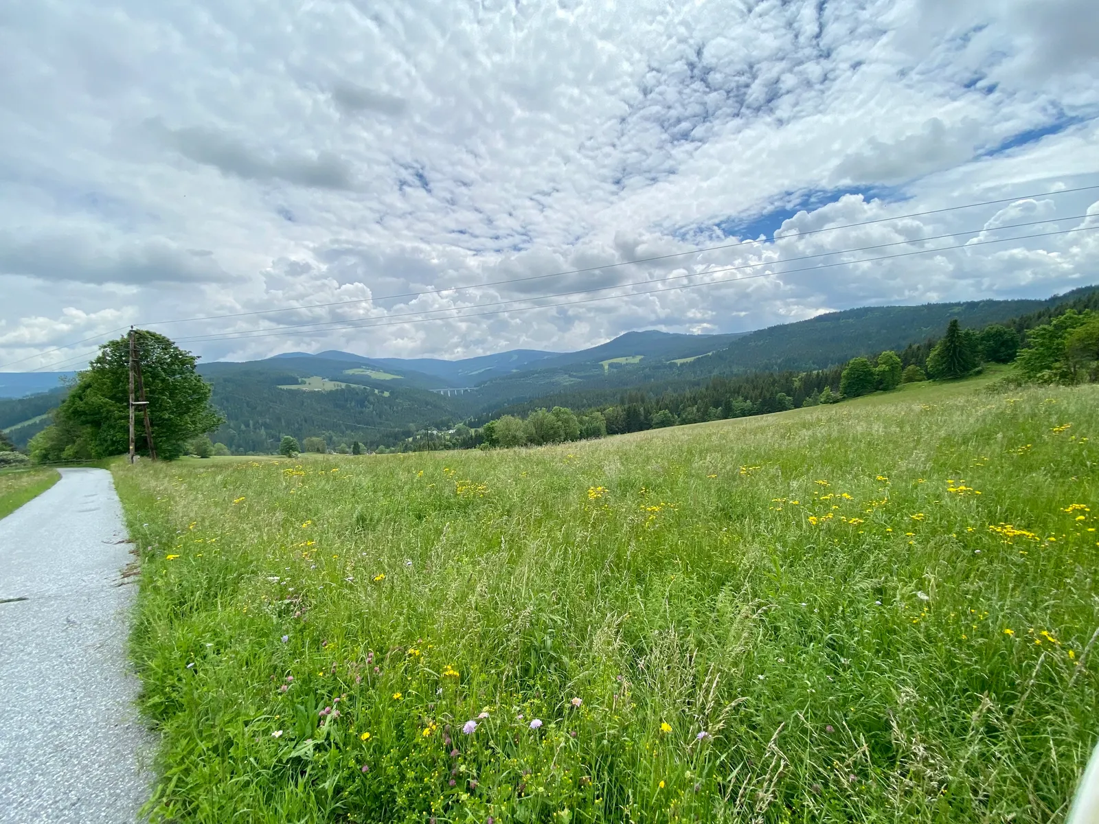 Ausblick in Pack