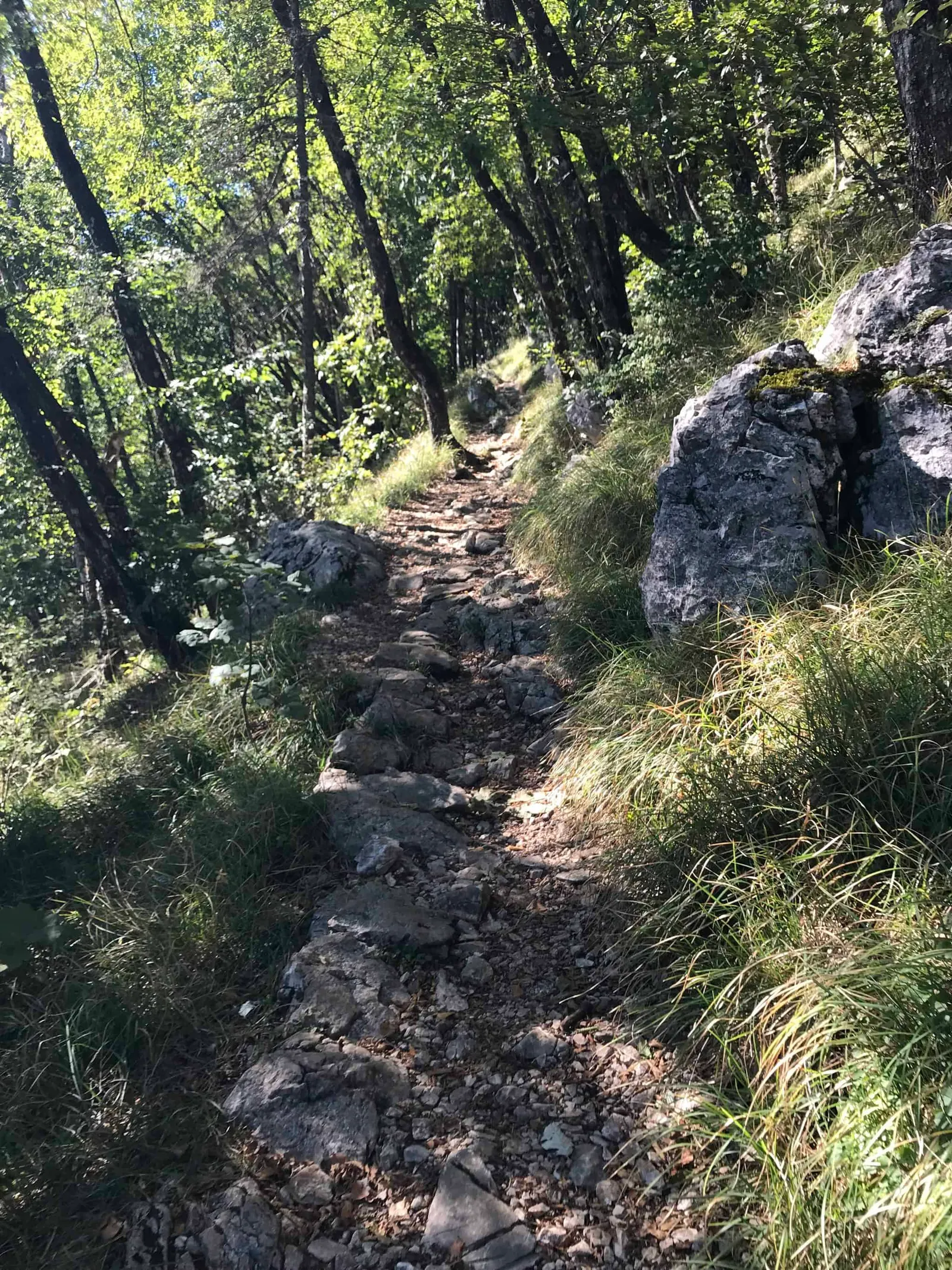 Urlaub Wandern Hund Vojak Kroatien