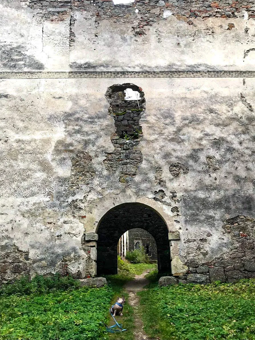 Ruine Lichtenfels Hundereise