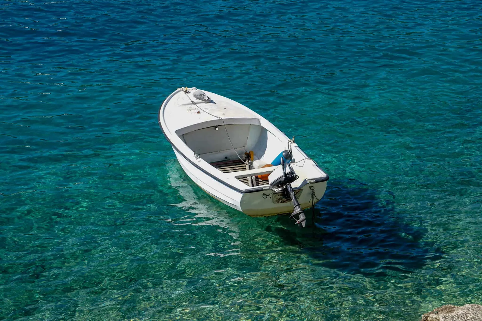 Urlaub Hund Kroatien Hundereise Rabac