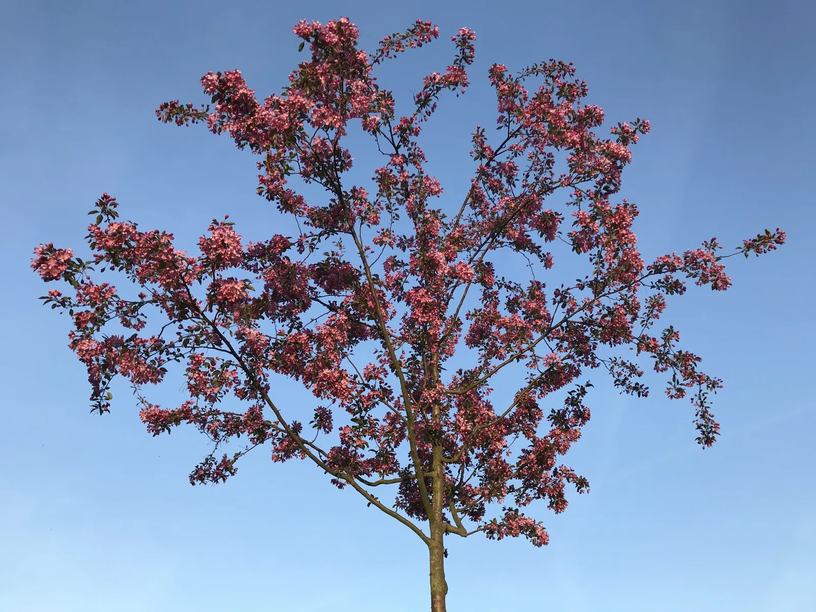 Frühling