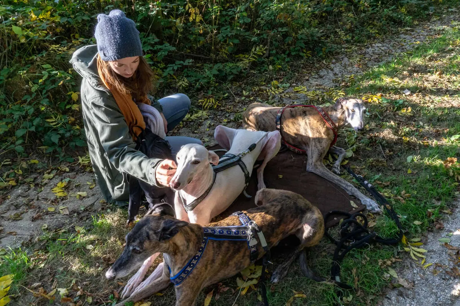 hundefreundliche Wanderung Bucklige Welt