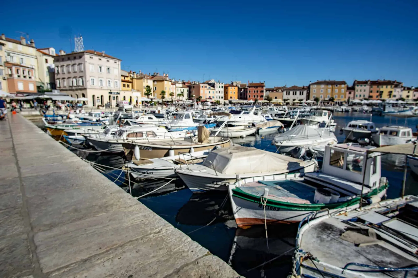 Rovinj Urlaub mit Hund Kroatien