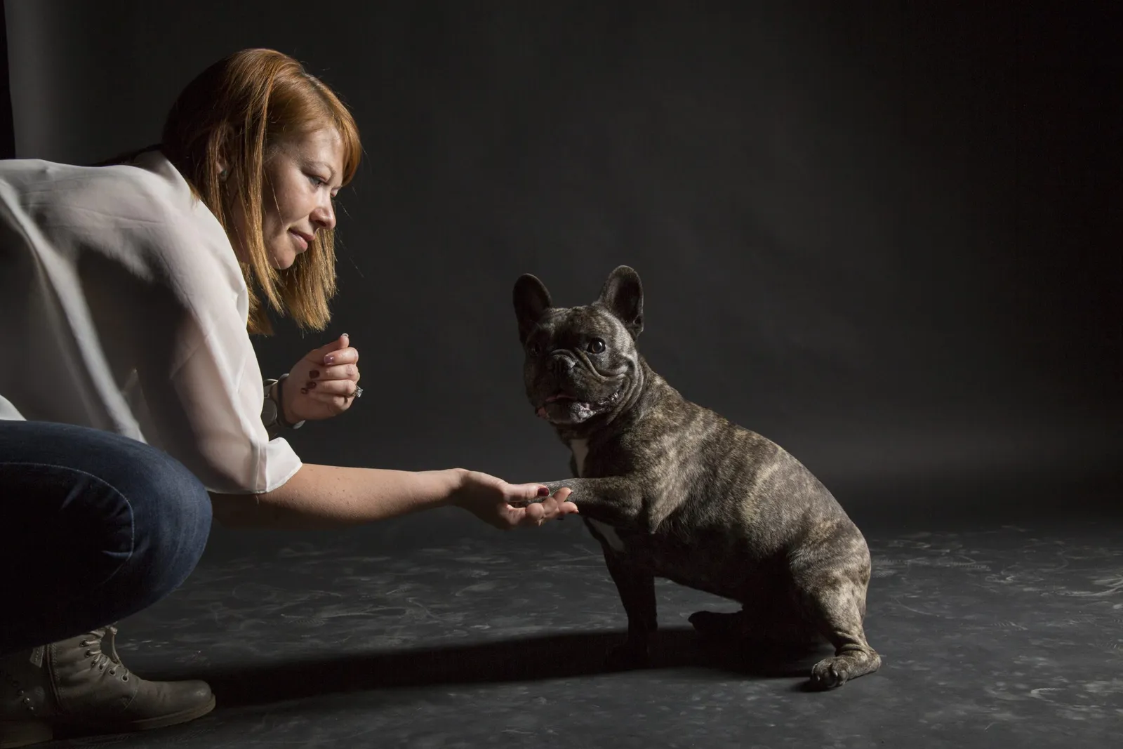 French Bulldog
