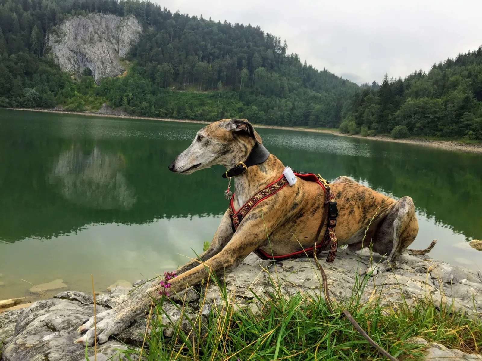 Schwarzensee Salzkammergut