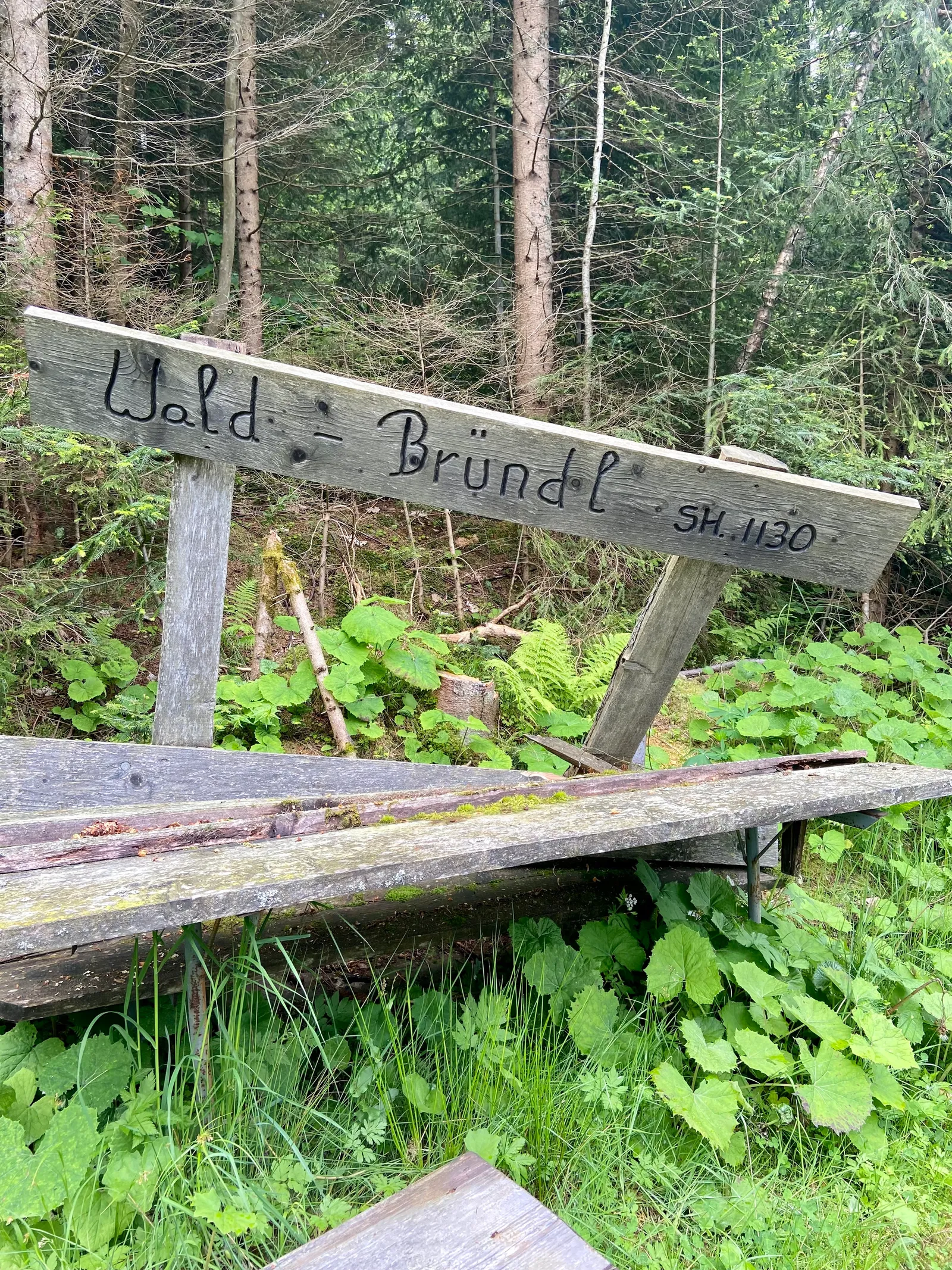 Hoiswirt Modriach Runde Wald Bruendl Bank