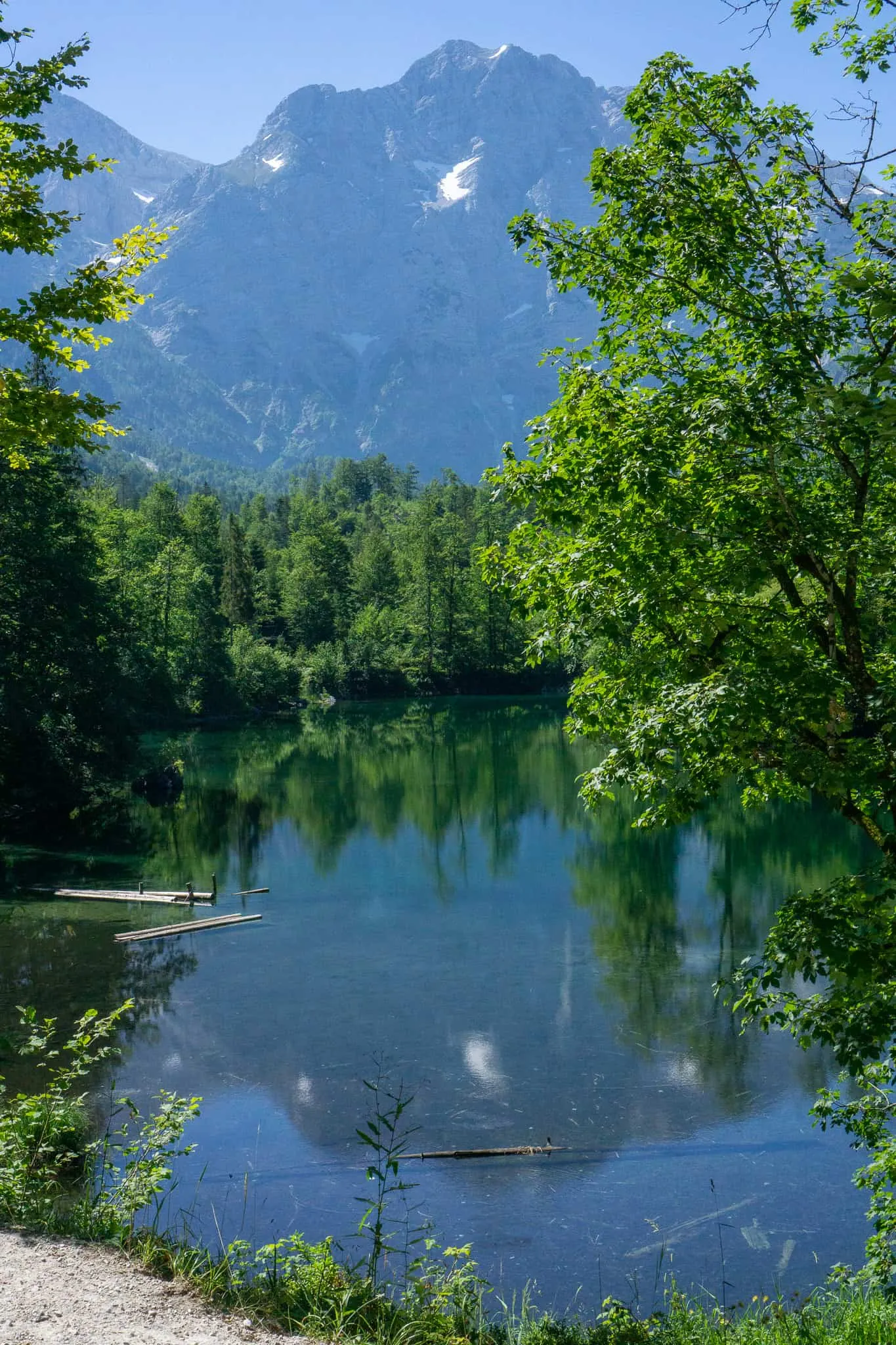 Großer Ödsee Almtal Hundereise