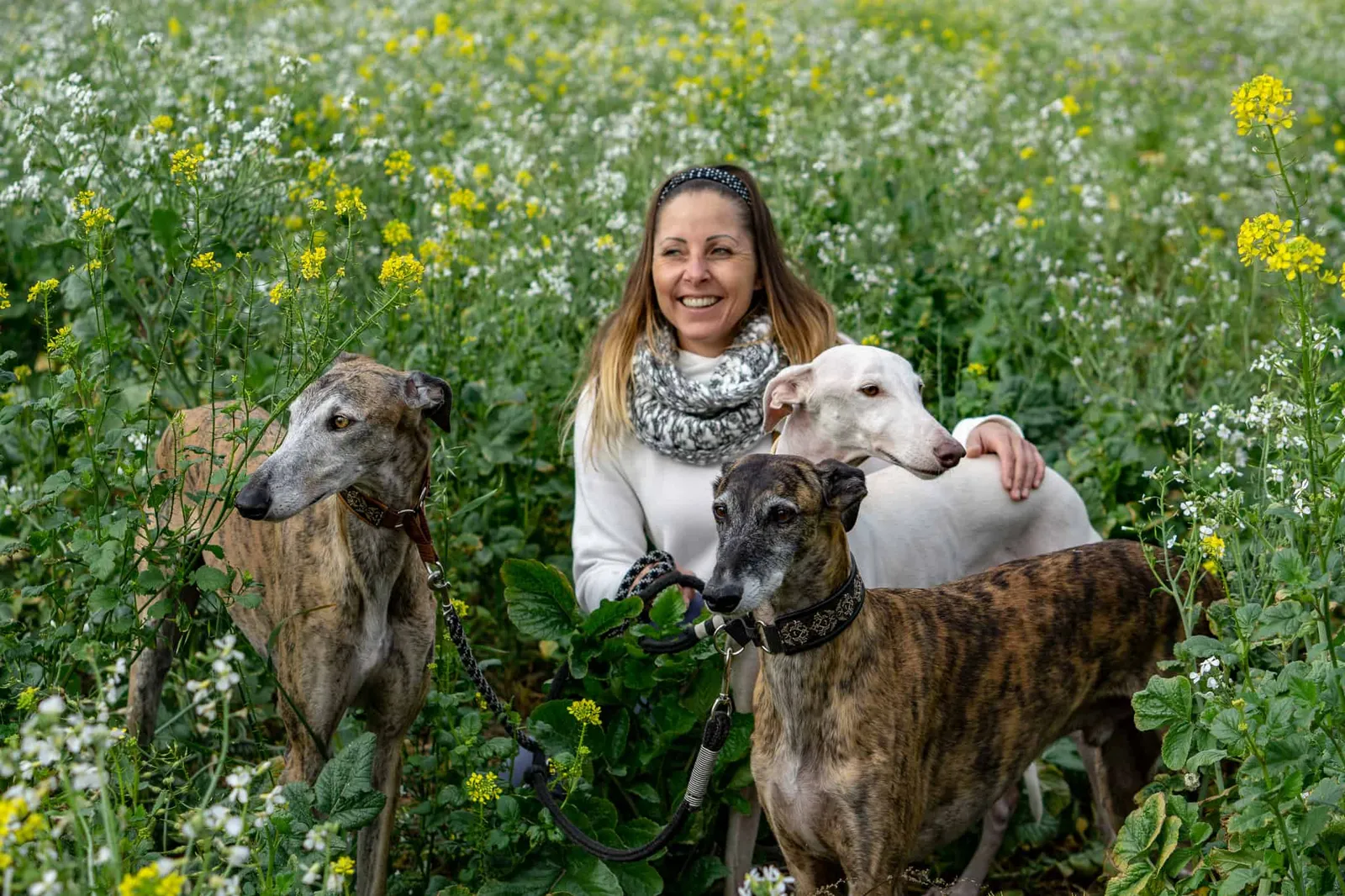 Hundereise Urlaub Rothsee Deutschland
