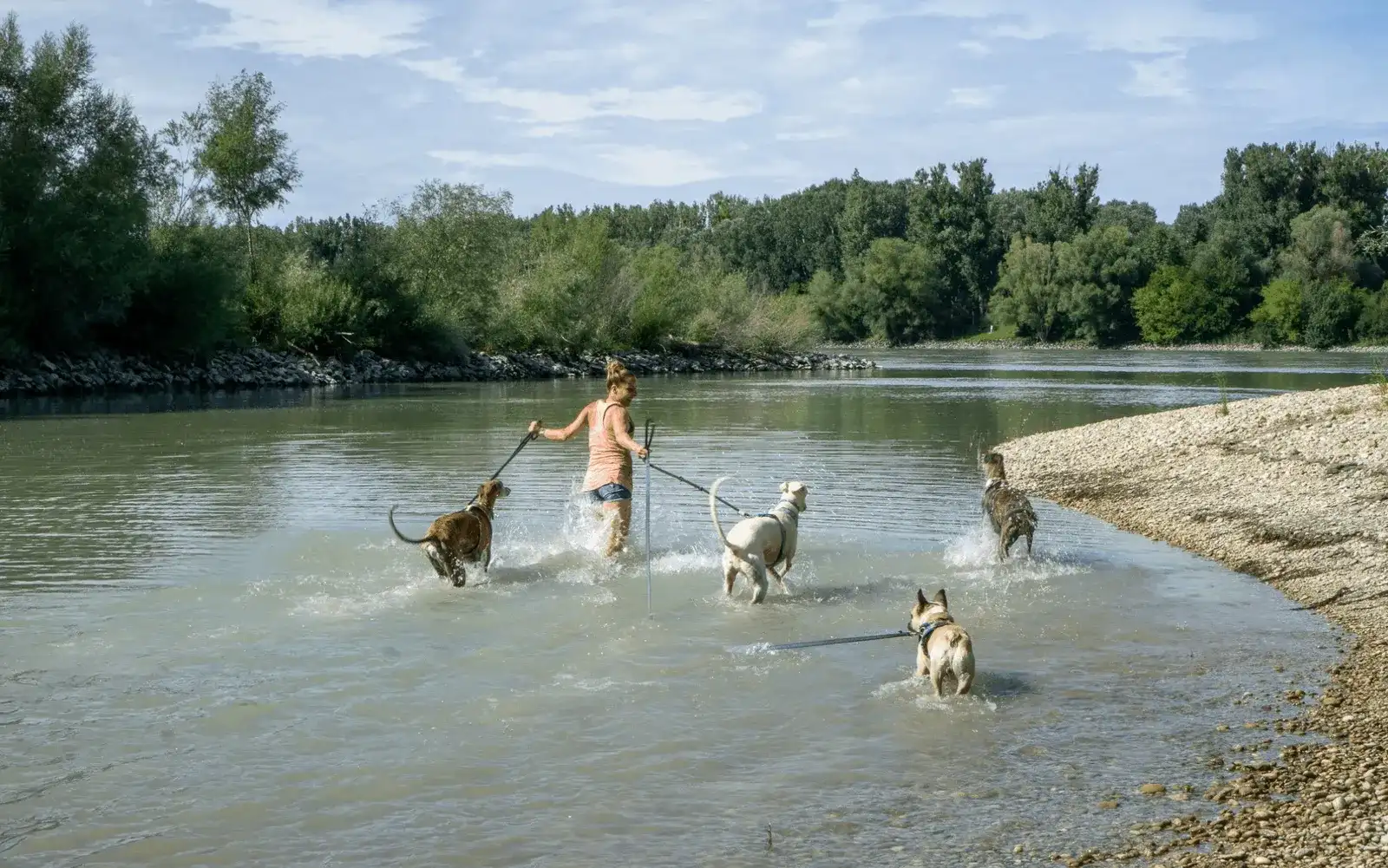 Ausflug mit Hund in die Donau-Auen rund um Maria Ellend
