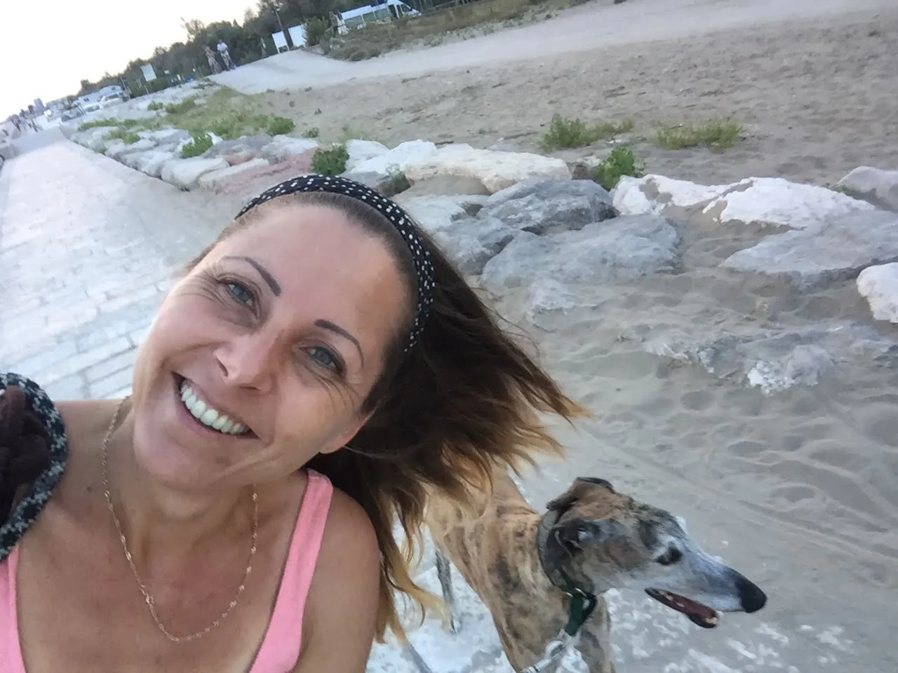 Urlaub mit Hund in Italien - Spanische Galgos in Cavallino-Treporti