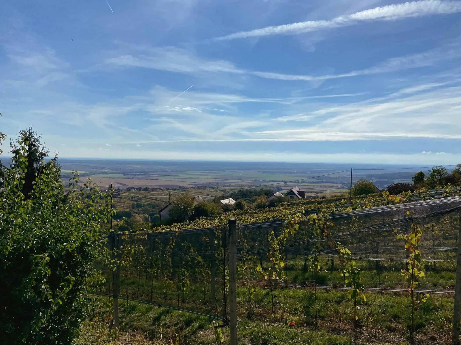 Landschaftsaufnahme rund um den Eisenberg