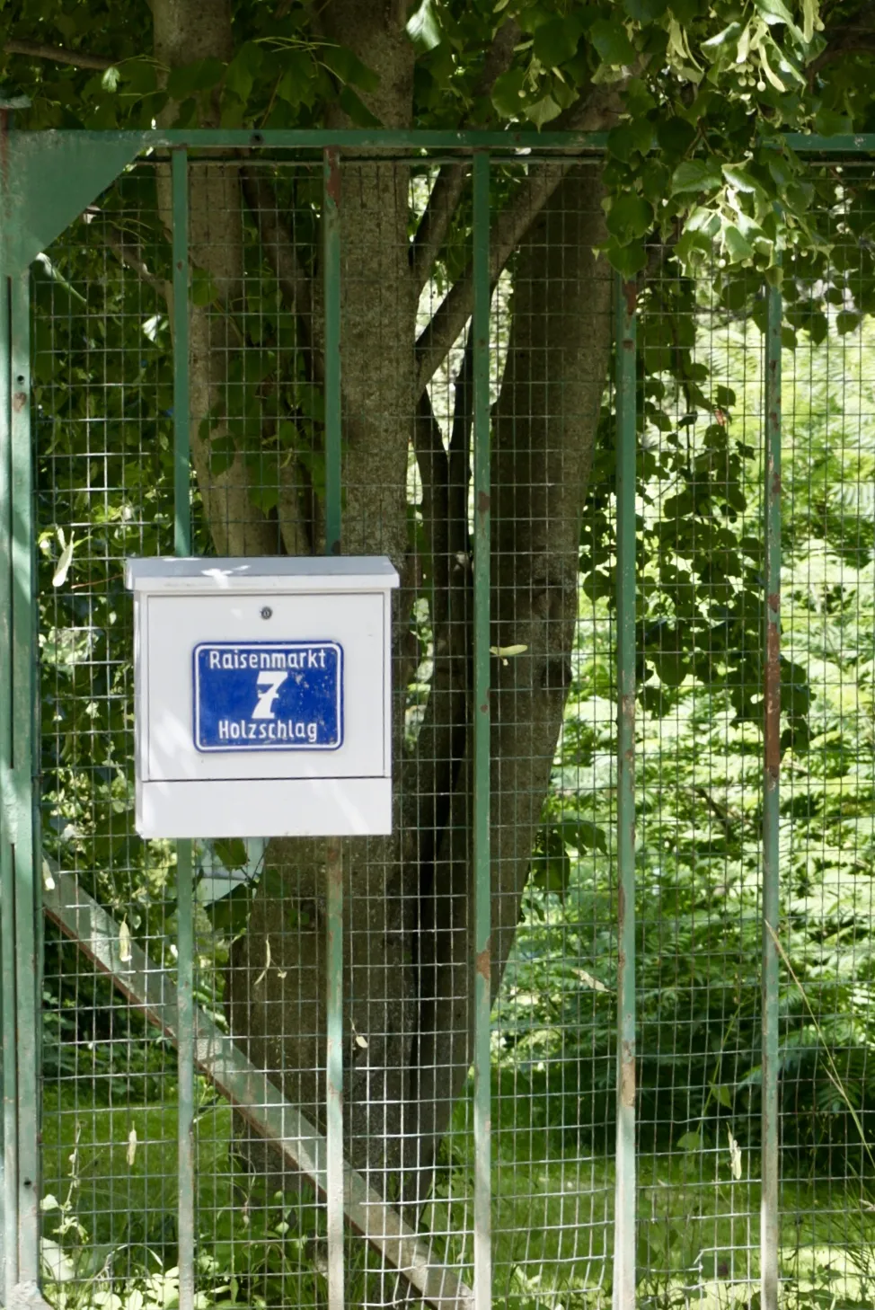 Holzschlag