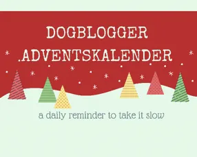 Dogblogger Adventskalender