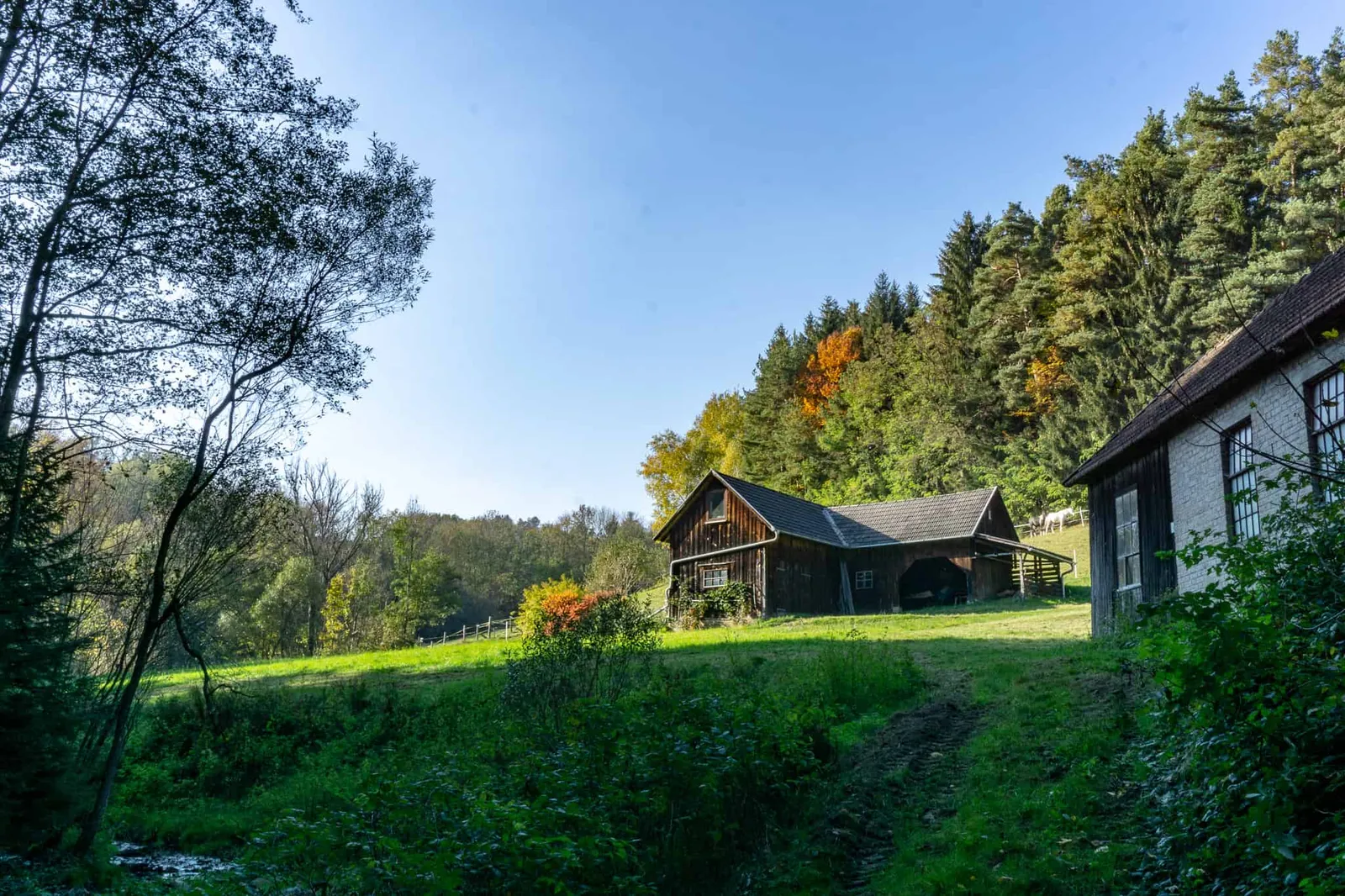 hundefreundliche Wanderung Bucklige Welt
