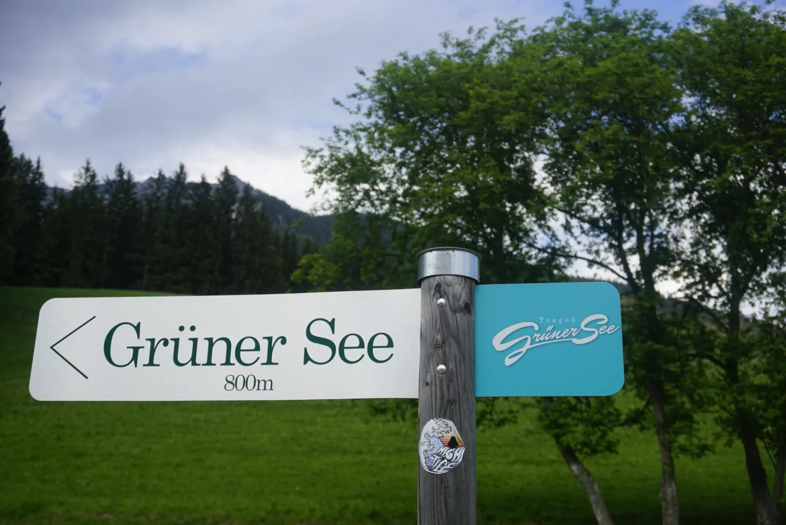 Grüner See Hundereise