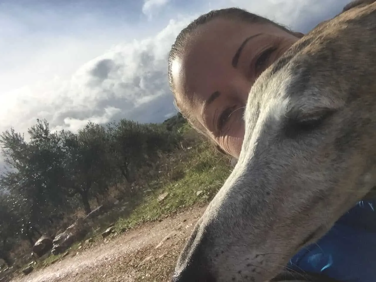 Urlaub mit Hund in Griechenland - über Aussteiger und Wanderungen
