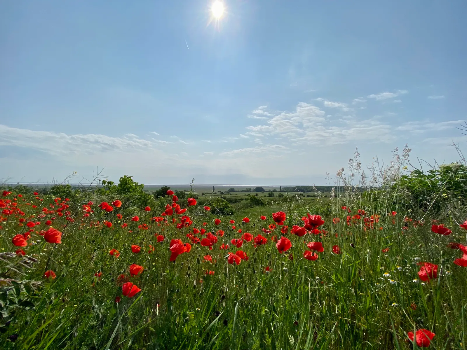 Ausblick_Oggau