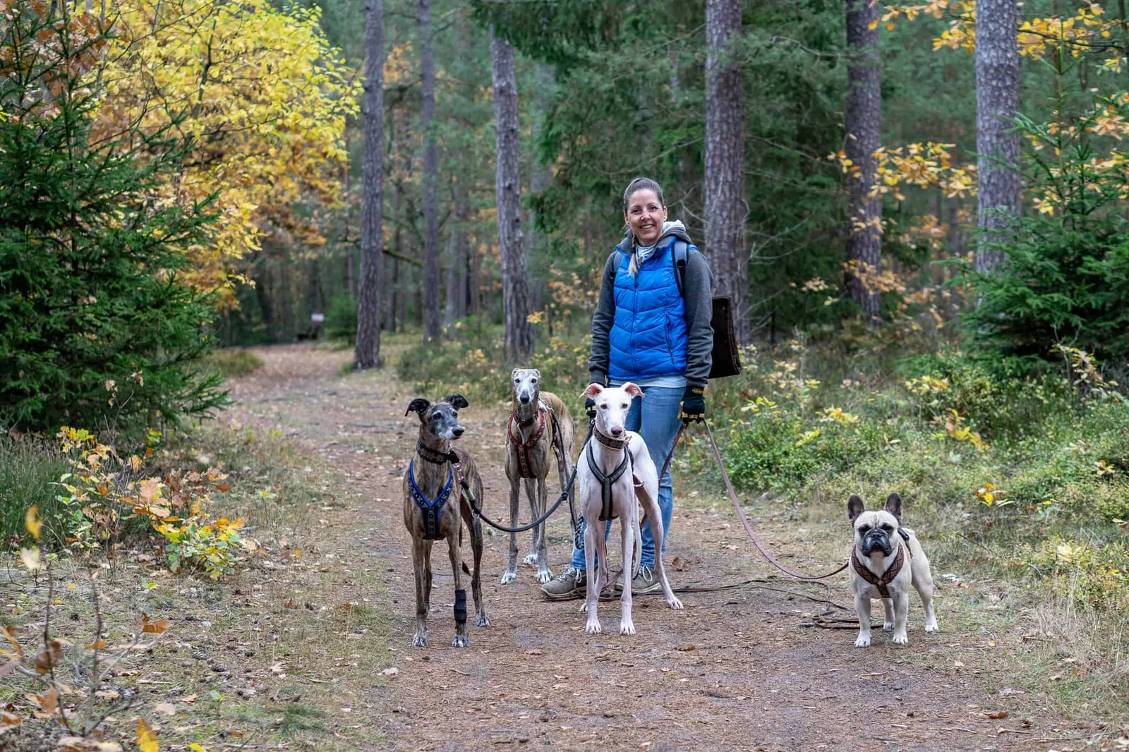 Hundereise Wandern Schwarzach Deutschland