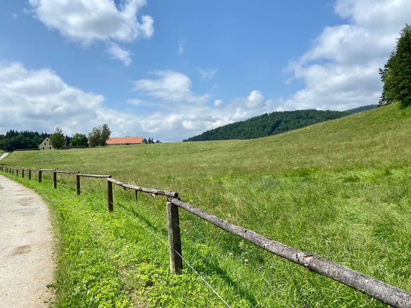 Koppeln am Plutorundweg