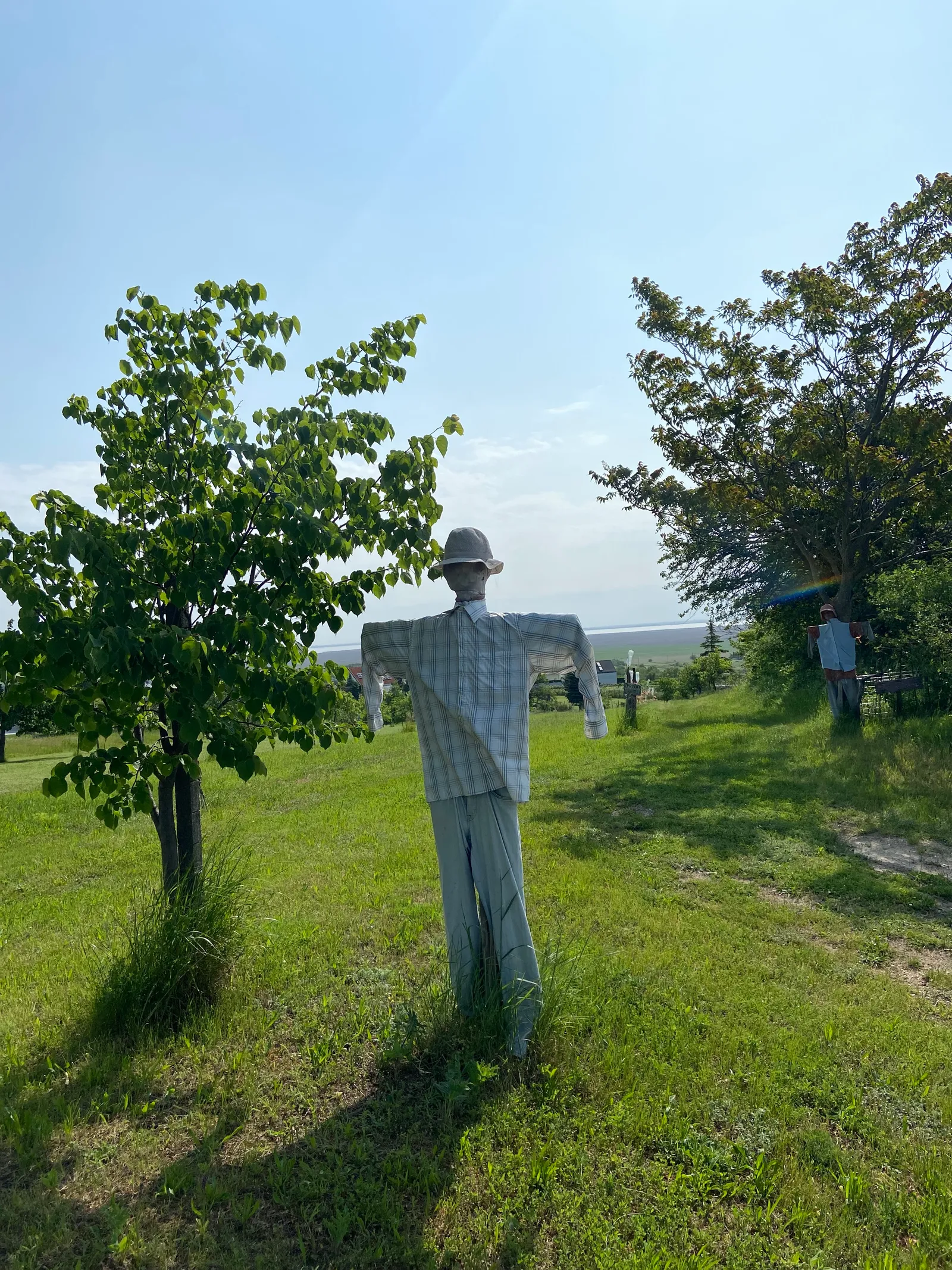 Vogelscheuche_Oggau_weinwanderweg