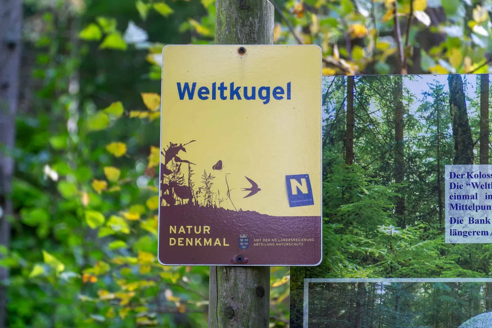 Weltkugel Hundereise
