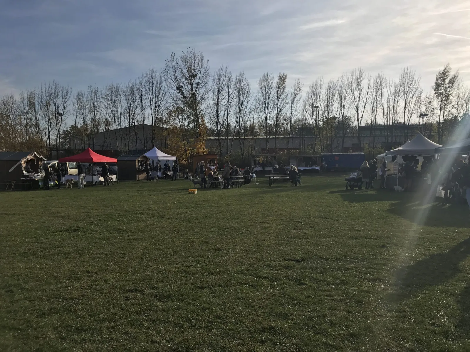 Ein Besuch am Windhundweihnachtsmarkt