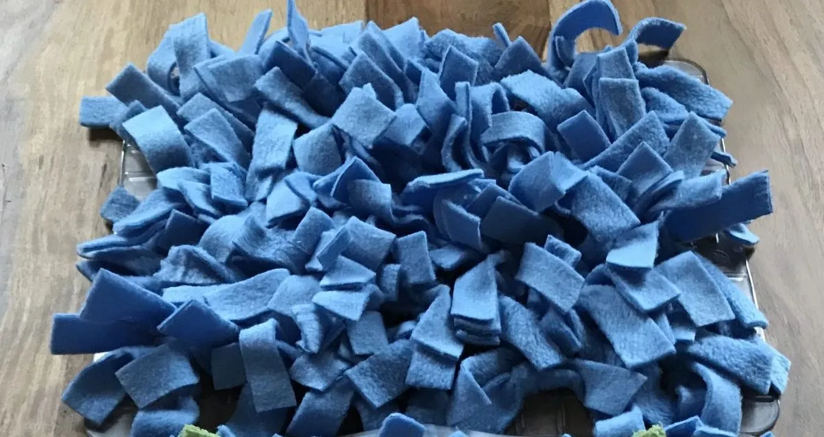 DIY - Schnüffelteppich selbst gemacht