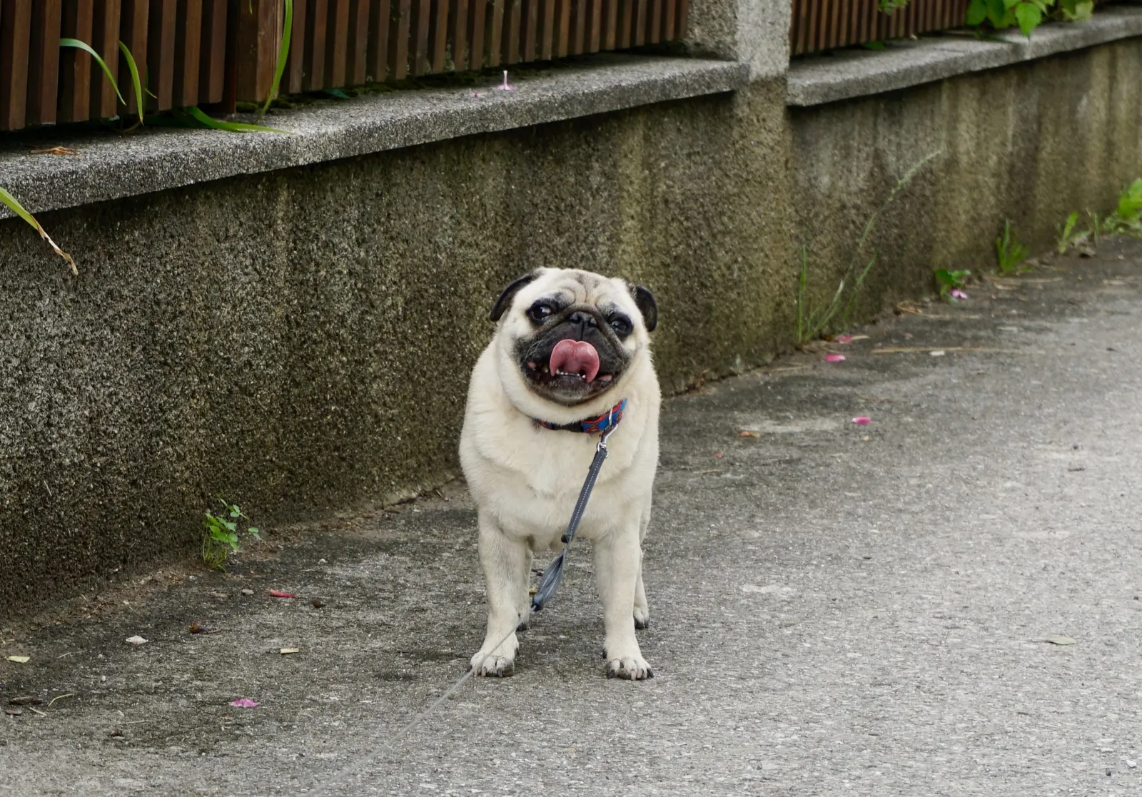 DSC5585