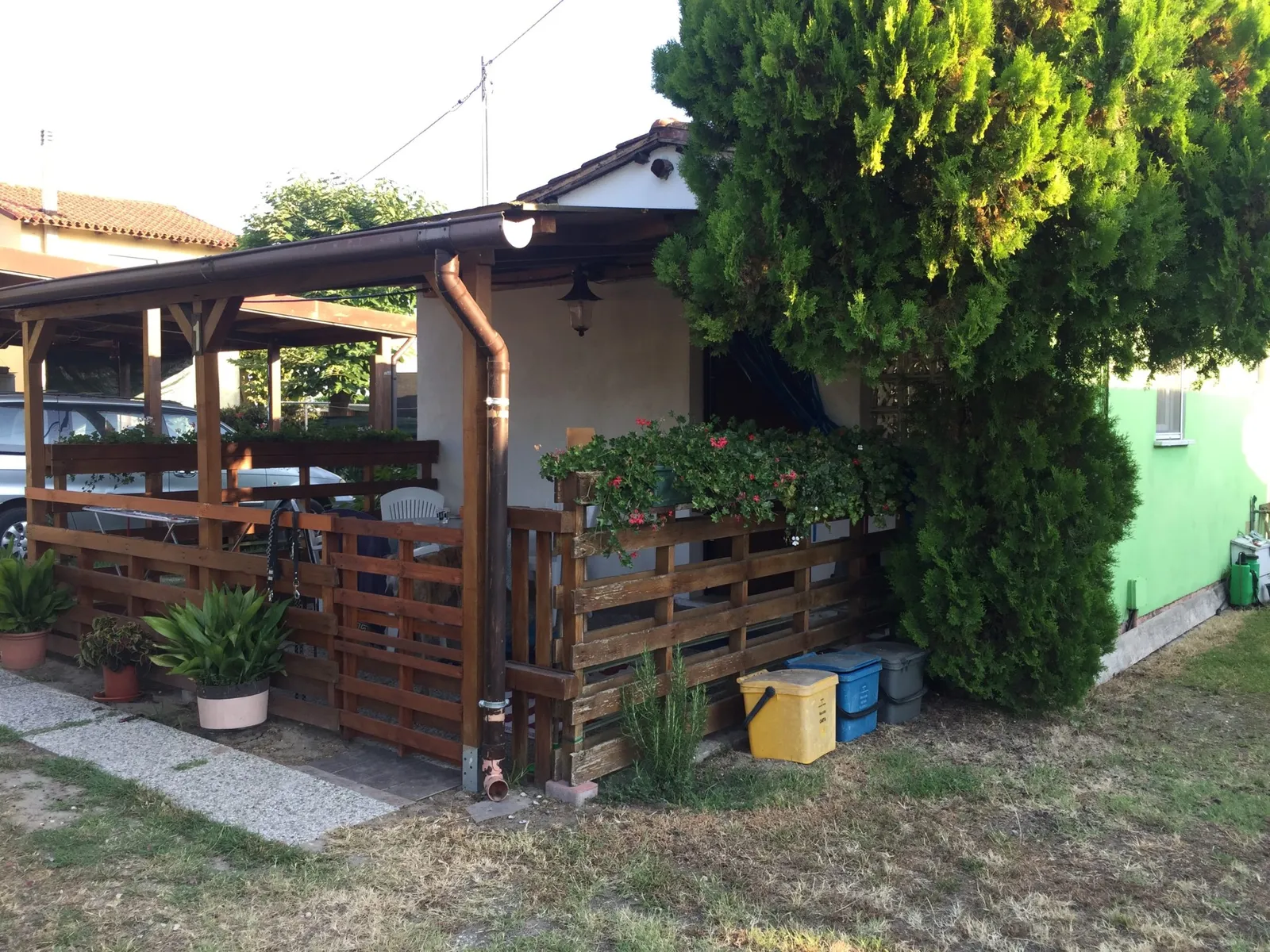 Urlaub mit Hund in Italien - Spanische Galgos in Cavallino-Treporti