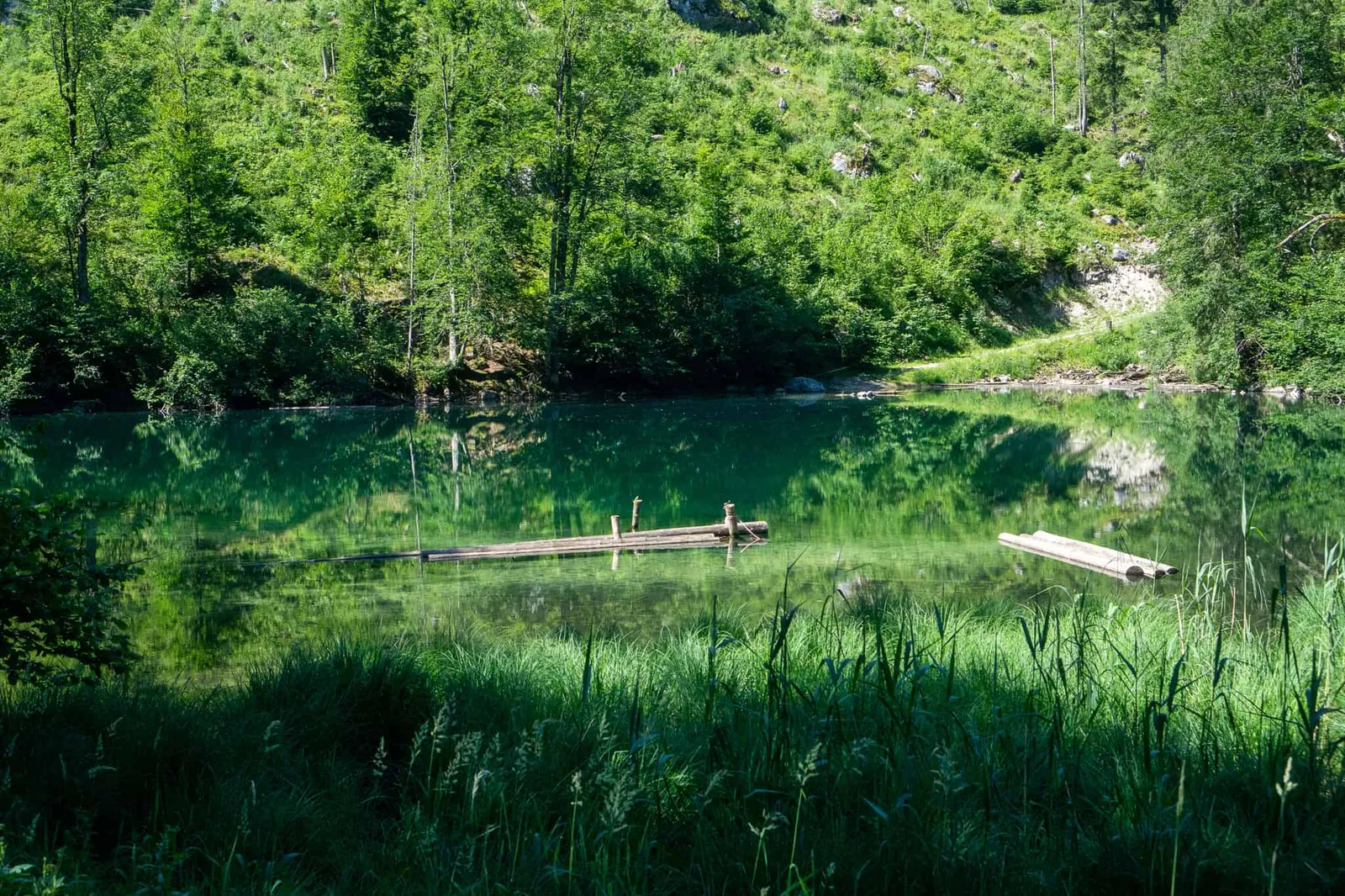 Großer Ödsee Hundereise