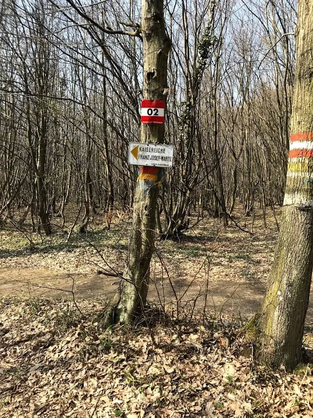 Hundefreundliche Wanderung in Donnerskirchen, Burgenland