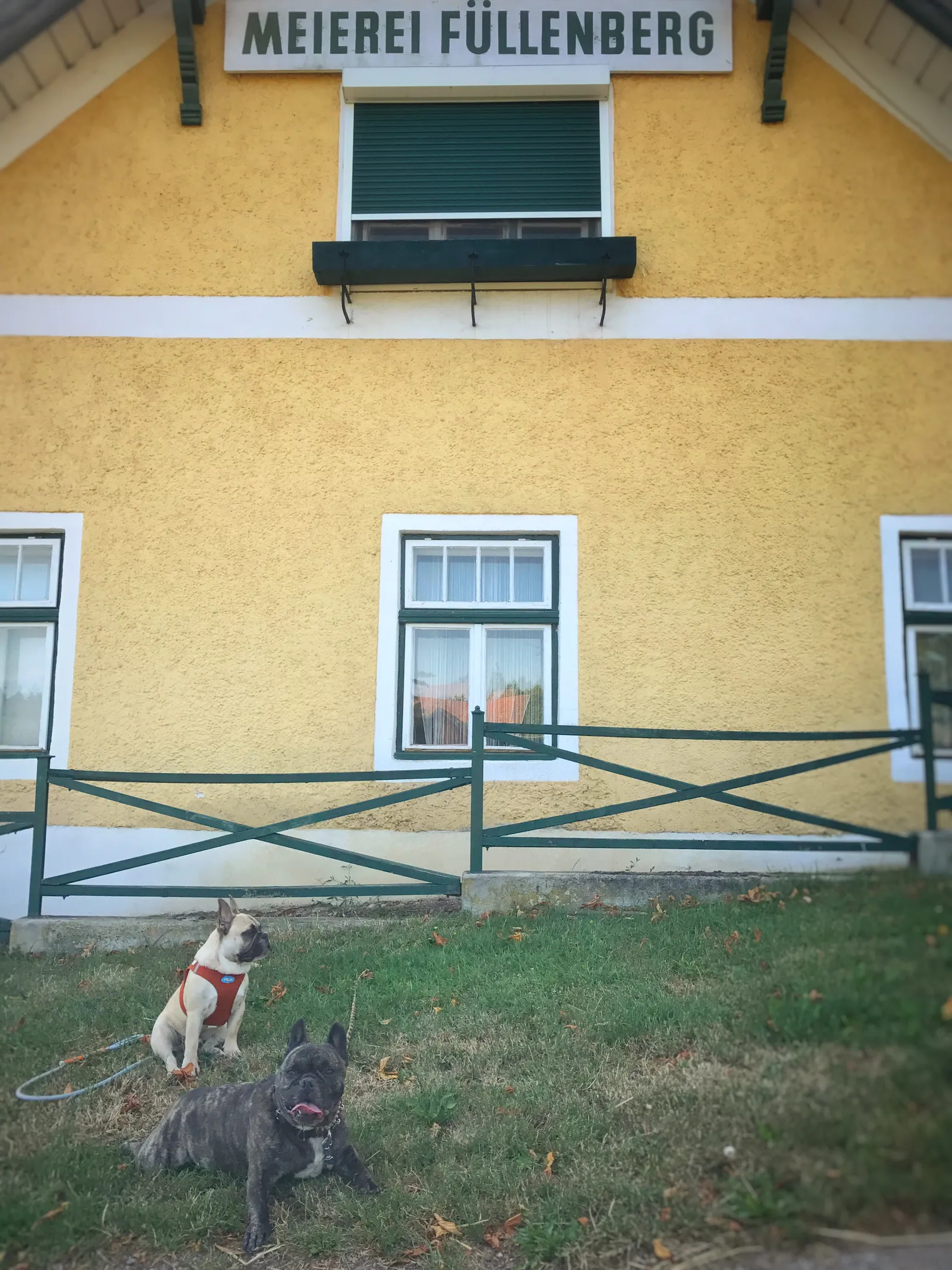 Ausflug mit Hund zur Meierei Füllenberg